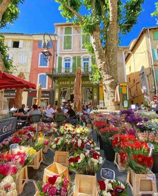 La Loge Familiale: 110M2, Place Rose Goudard, Ac LʼIsle-sur-la-Sorgue Extérieur photo